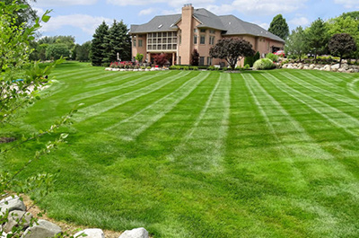 Lawn Maintenance in Sterling Heights, MI | Dynamic Lawn & Landscape - dynamic-lawn-and-landscape13